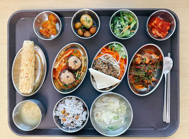 항암식이식단